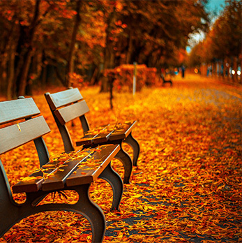 在线短信验证码接收