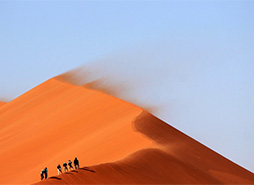 智能任务分配的轰炸免费网页