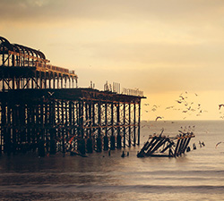 发手机号软件app