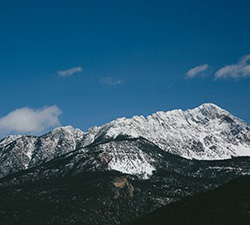 电话轰炸机网页版